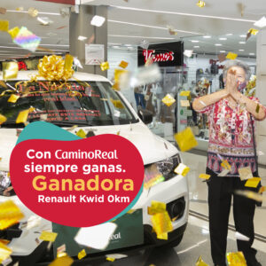 Ganadora Renault Kwid 0 km.