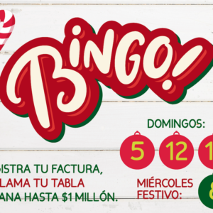 Ven y juega Bingo con nosotros.