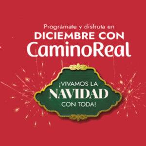 …PROGRÁMATE ESTA NAVIDAD CON LOS EVENTOS QUE TENEMOS PARA TI