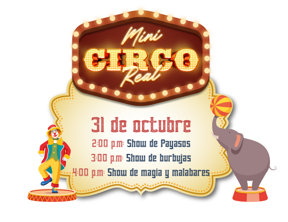 MINI CIRCO REAL